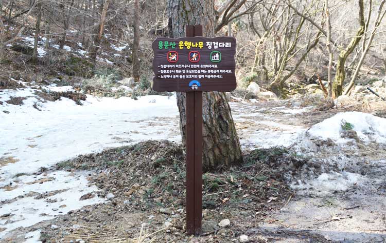 ff19d30d98e25d33a97e62a924b60b9f_1747406164_0732.jpg